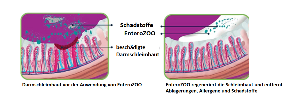 Wie es funktioniert